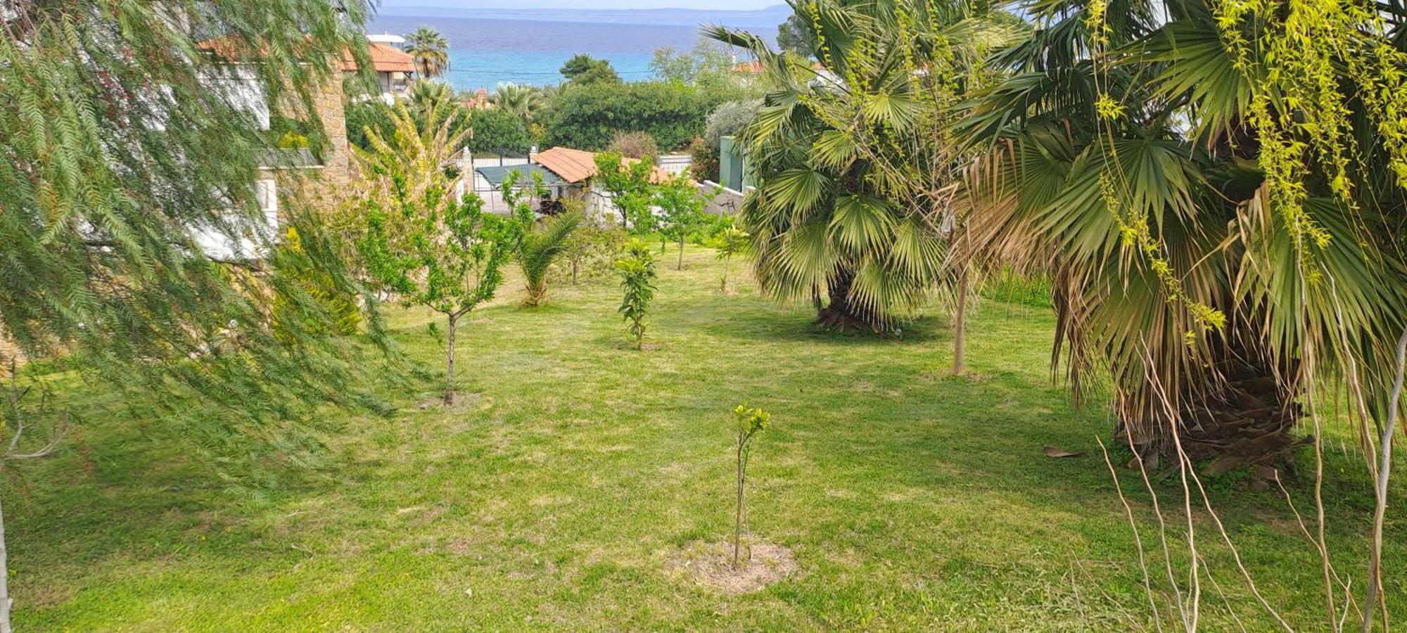 Villa Helga Exotic Pefkochori Extérieur photo